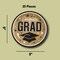 25 Count Gold Congrats Grad Round Paper Plates 9 Inch for Graduation